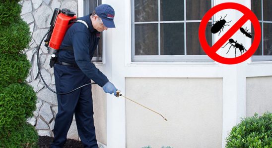 Çakmaklı Kene İlaçlama böcek ilaçlama ve haşere kontrolü — ilaclama-tr.com